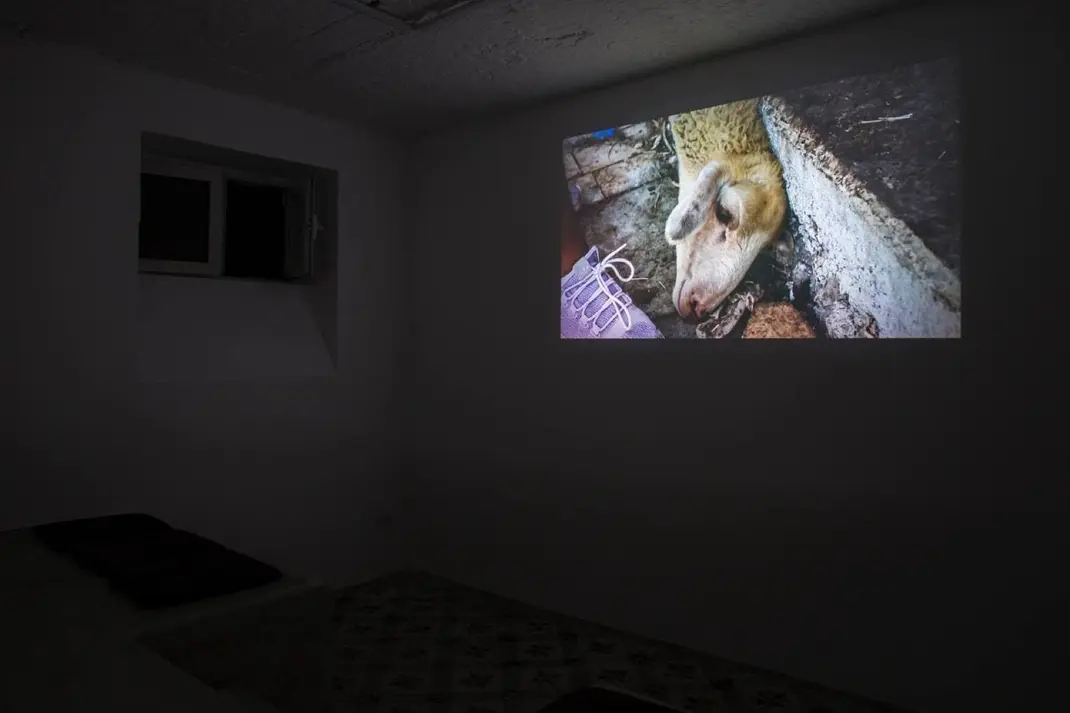 Abi Shehu, Gerta Xhaferaj — necrography / nekrografi, 2