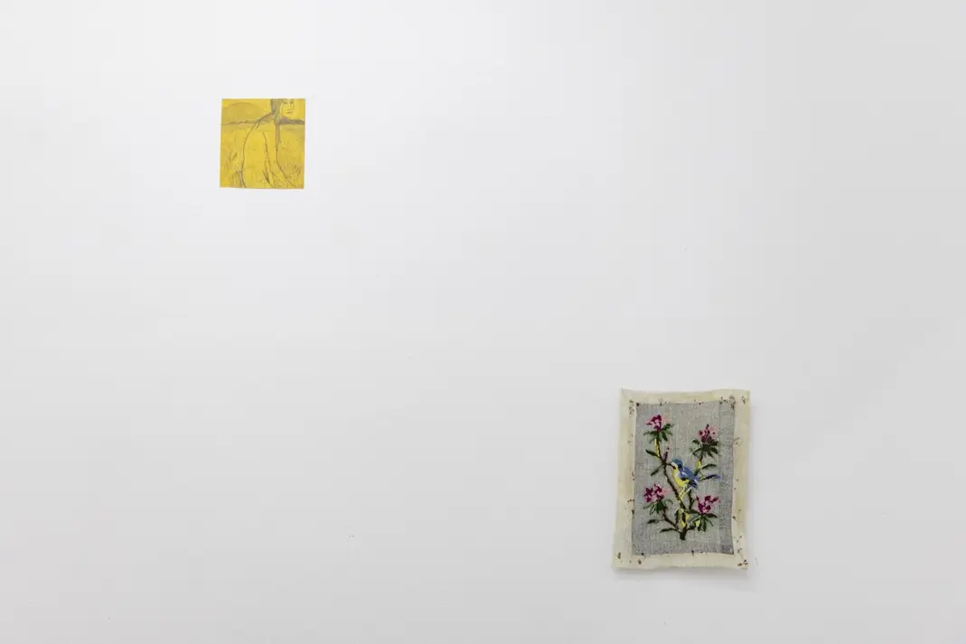 Blerta Hashani — Diell në Fijet e Barit / The Sun on the Blades of Grass, 2