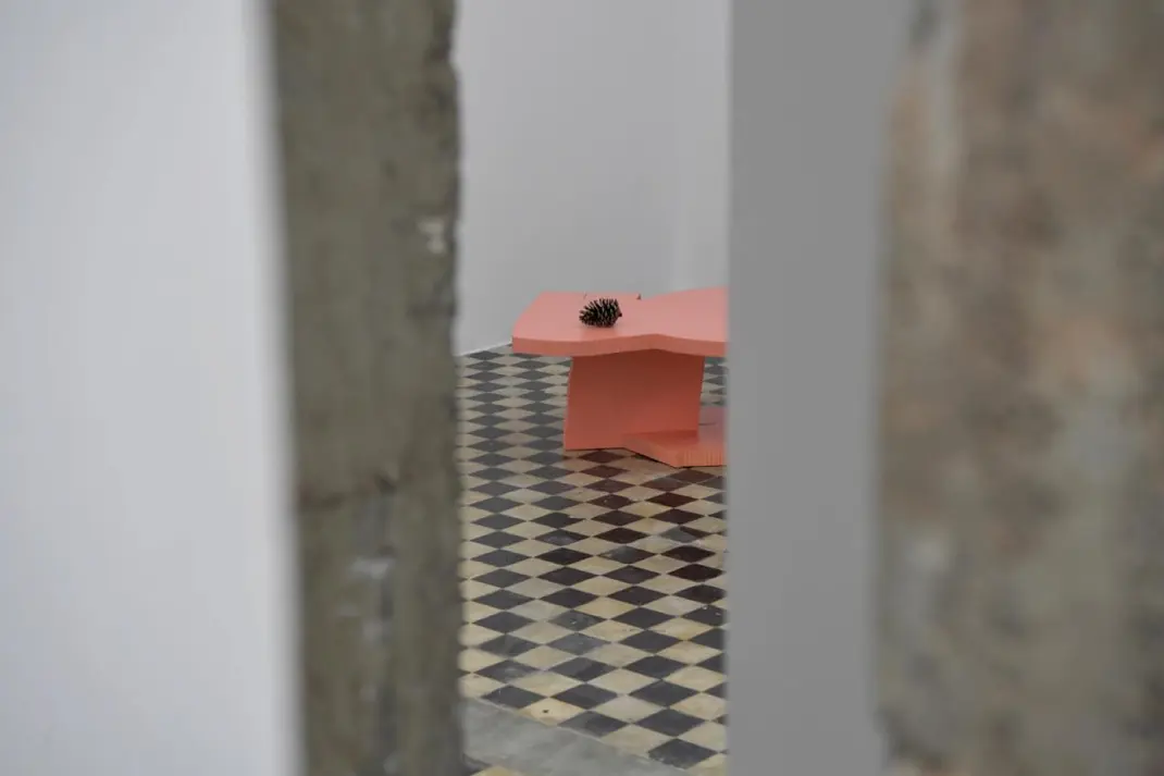 Marco Campardo — Live Edges, 5