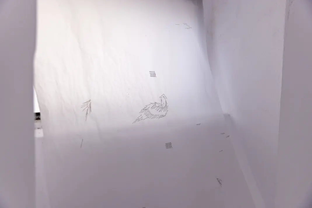 Nora Bzheta — Si pllum, 5