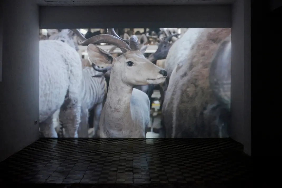 Silva Agostini — With Open Eyes / With Eyes Closed, 6
